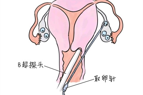 http://shijiazhuang.huochezhan.net/post/205.html|石家庄供卵助孕