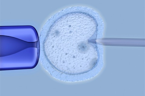 http://shijiazhuang.huochezhan.net/post/208.html|石家庄捐卵费用