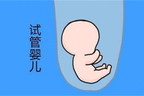 培养石家庄捐卵宝宝艺术细胞的小技巧