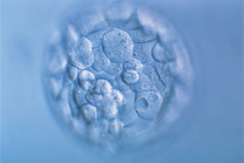http://shijiazhuang.huochezhan.net/post/200.html|石家庄新闻中心