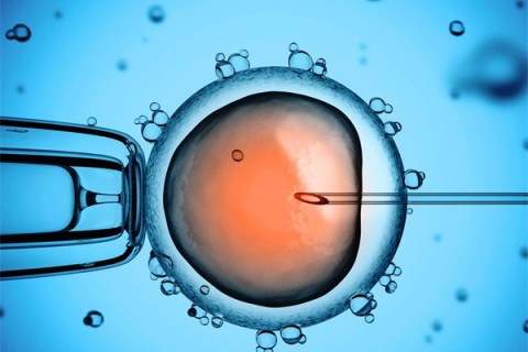http://shijiazhuang.huochezhan.net/post/199.html|石家庄供卵助孕